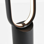 Outdoor Black Oval LED Lawn Light