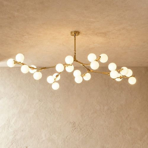 Astraia Chandelier Light