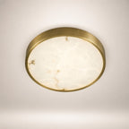 Camiro Ceiling Light