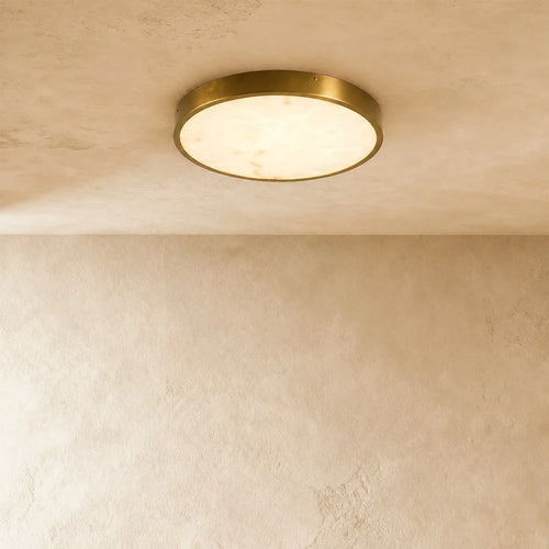 Camiro Ceiling Light