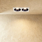 Recessed Dual Head Spotlight