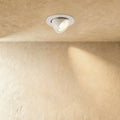 Recessed Adjustable Spotlight