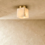 Vylora Ceiling Light