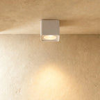 Surface Mounted Box Spotlight