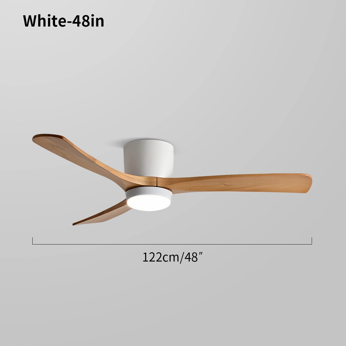 Large Low Profile Ceiling Fan with Light