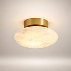 Zarion Ceiling Light