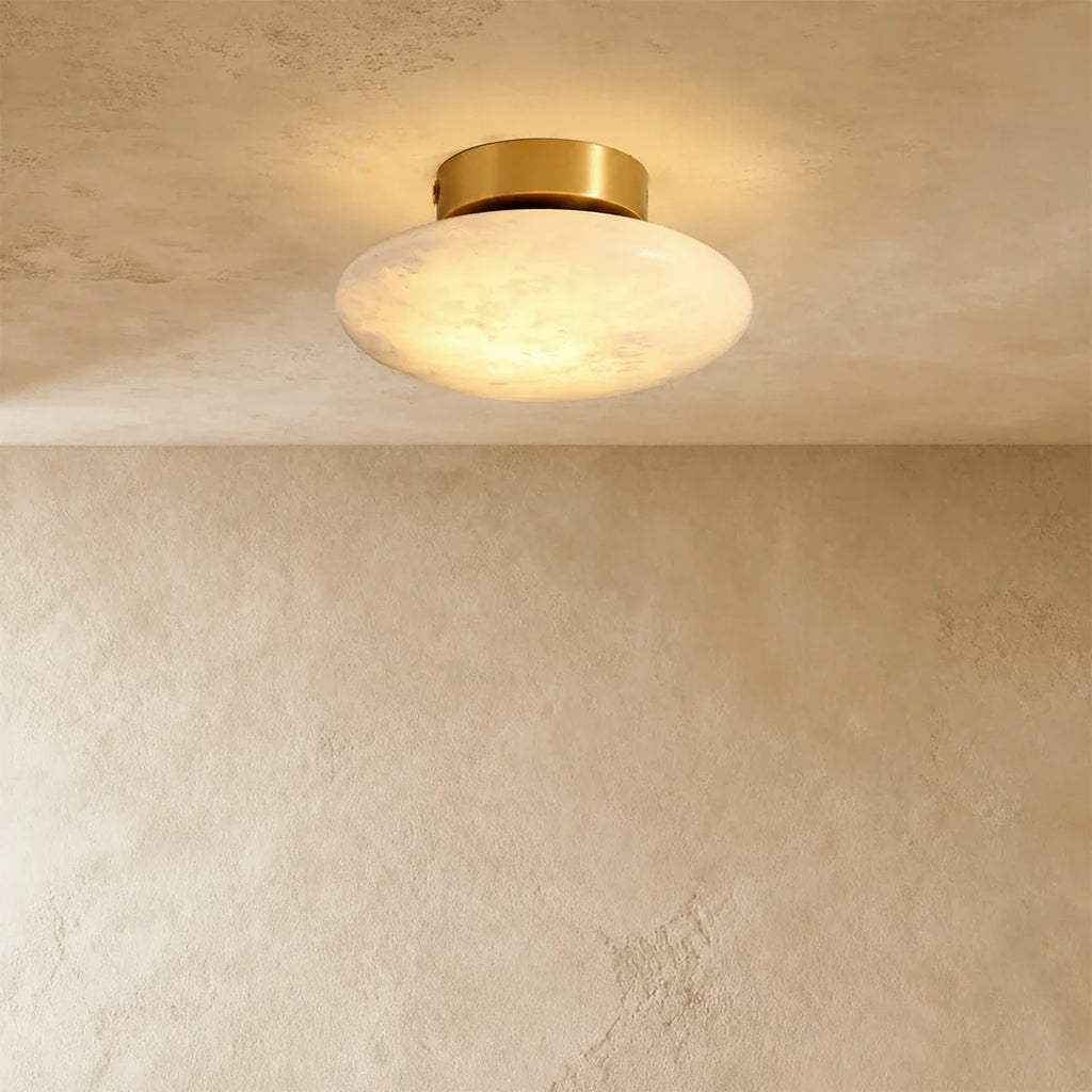 Zarion Ceiling Light