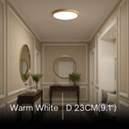 Zenno Wabi-sabi Modern Round Ceiling Light