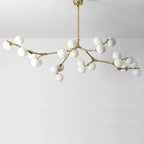 Astraia Chandelier Light