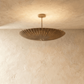 Aureon Pendant Light