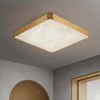 Camiro Ceiling Light