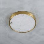 Camiro Ceiling Light
