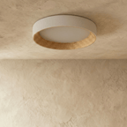 Ribata Ceiling Light