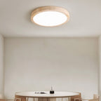 Richna Ceiling Light