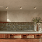 Tavro Ceiling Light