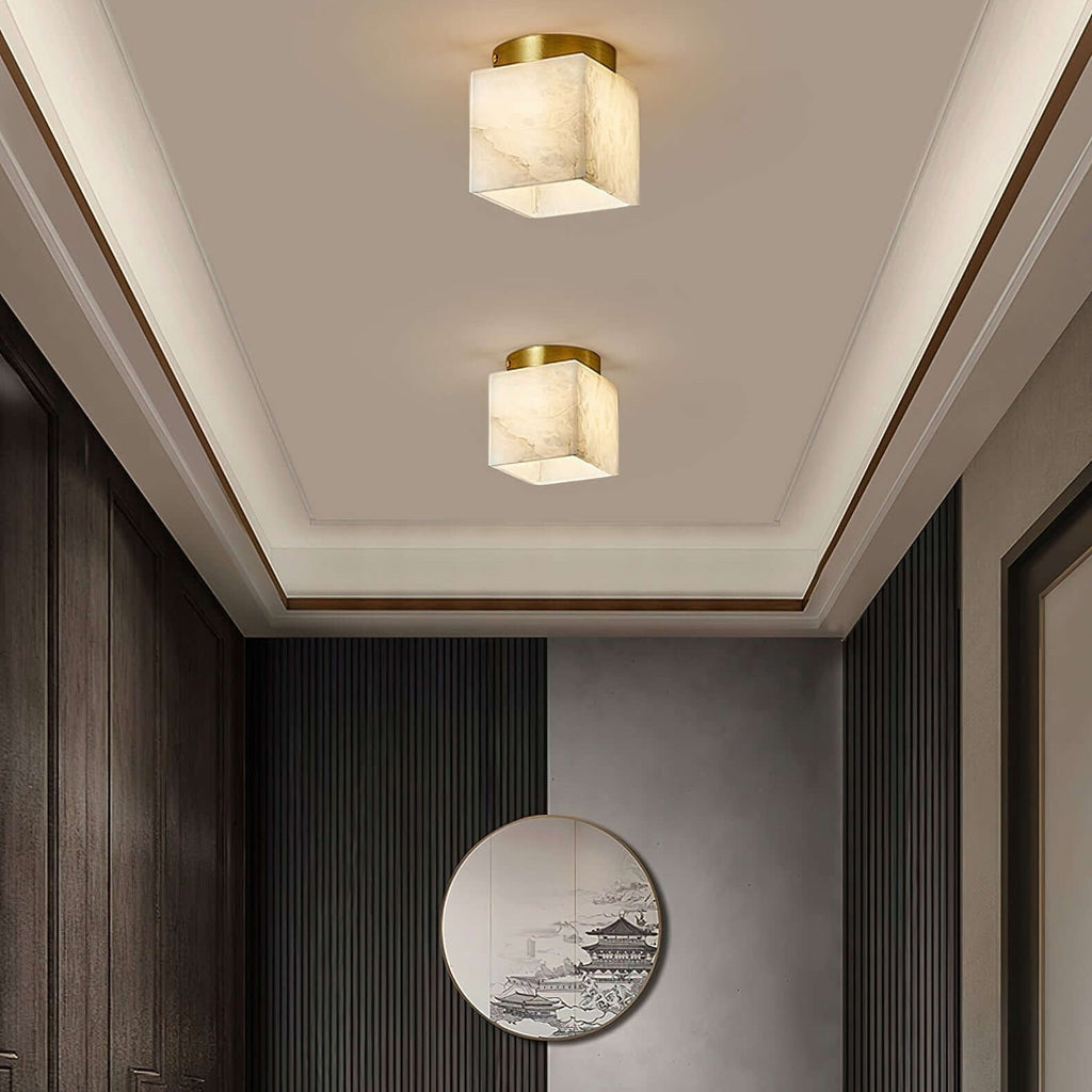 Vylora Ceiling Light