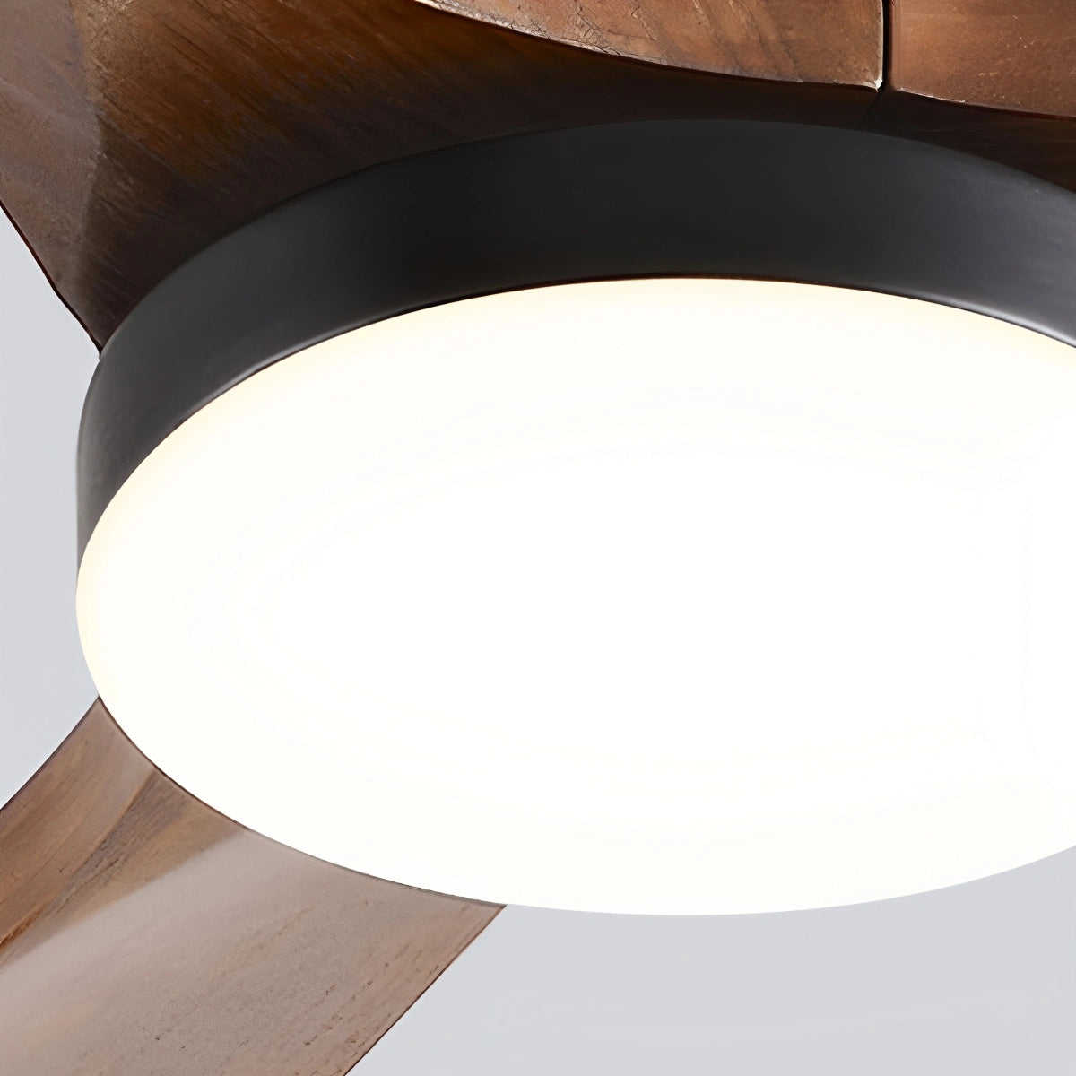 Large Low Profile Ceiling Fan with Light