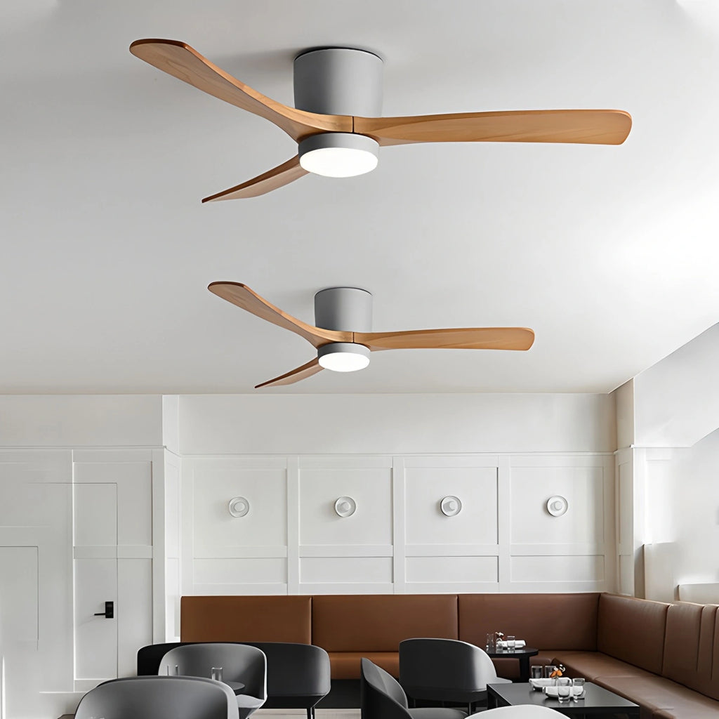 Large Low Profile Ceiling Fan with Light