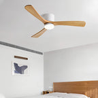 Large Low Profile Ceiling Fan with Light