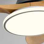 Modern 3 Blade Ceiling Fan with Light