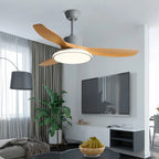 Modern 3 Blade Ceiling Fan with Light