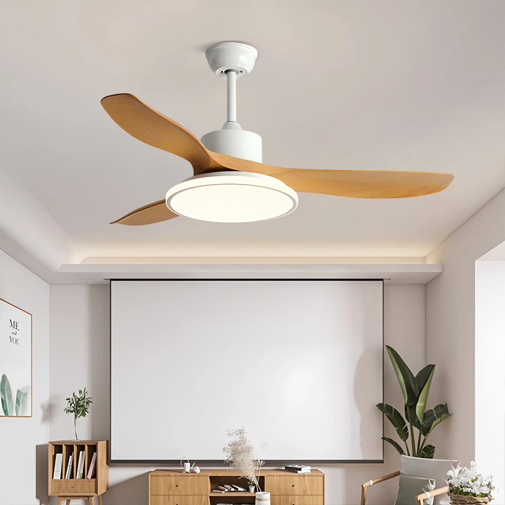 Modern 3 Blade Ceiling Fan with Light