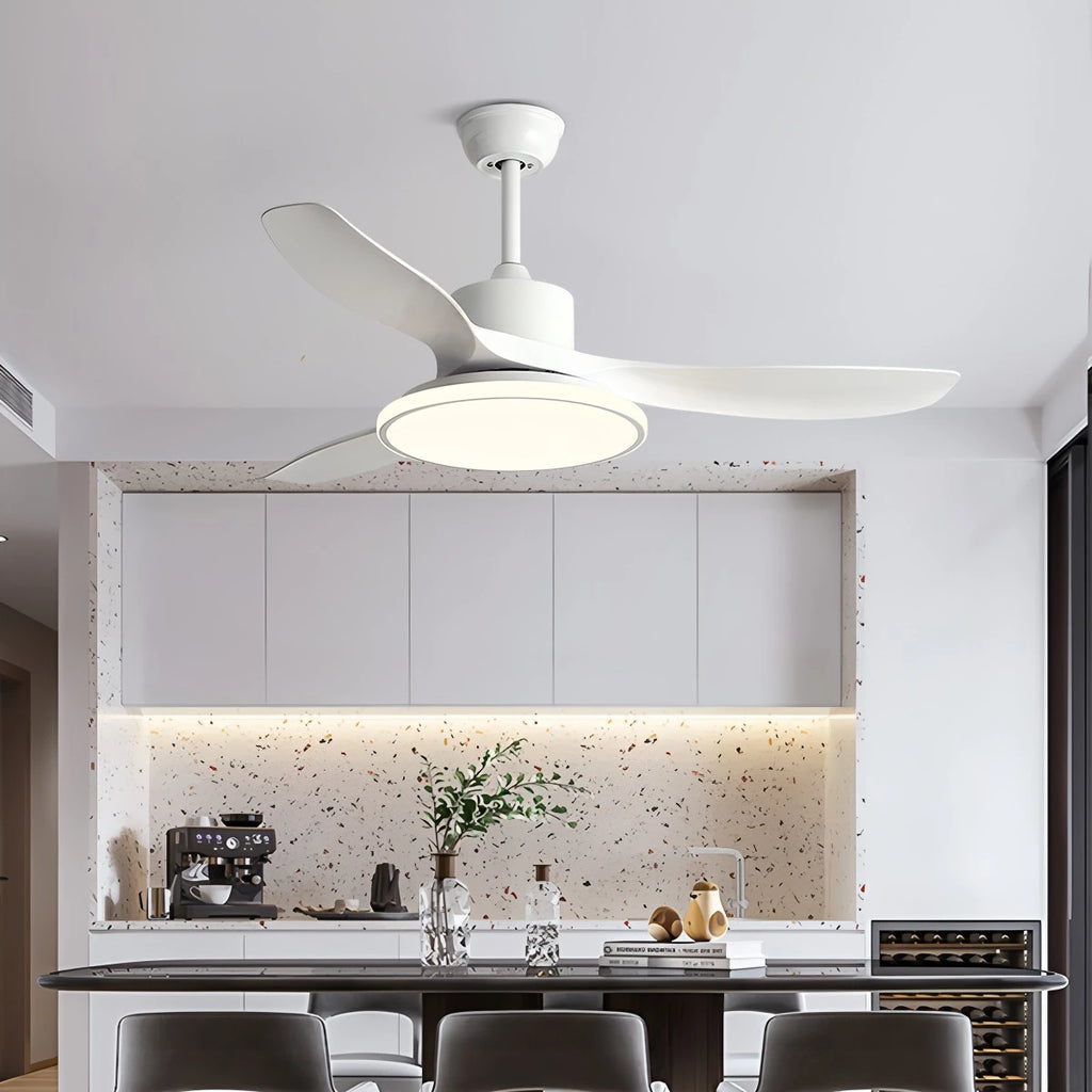 Modern 3 Blade Ceiling Fan with Light